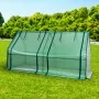 polytunnel greenhouse