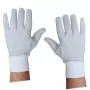 Wellys GI-073150 : Gants thermiques pour hommes