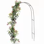 Arche de jardin en métal pour plantes grimpantes 140x240cm